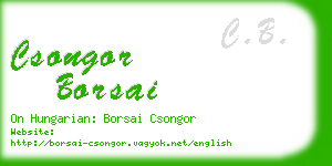 csongor borsai business card